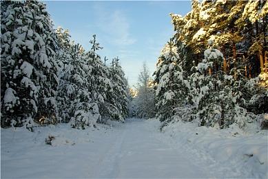 《三角符文》第三章和第四章确定2025年发售 具体日期待定