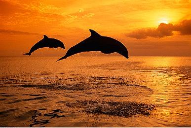 工长君：《剑心雕龙》剧情地图量与《古剑1》相当